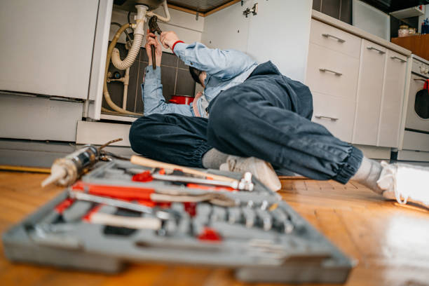 Best Residential Plumbing Services  in Wesley Chapel, FL