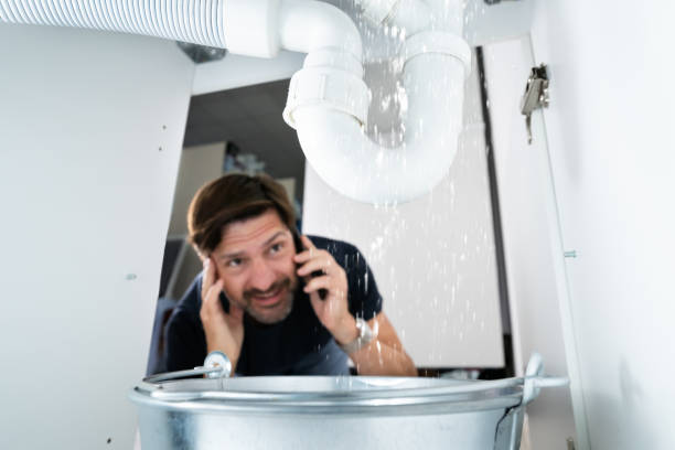 Best Commercial Plumbing Services  in Wesley Chapel, FL