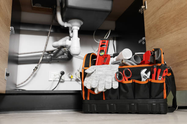 Best Affordable Plumbing Services  in Wesley Chapel, FL