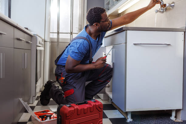 Best Affordable Plumber Near Me  in Wesley Chapel, FL